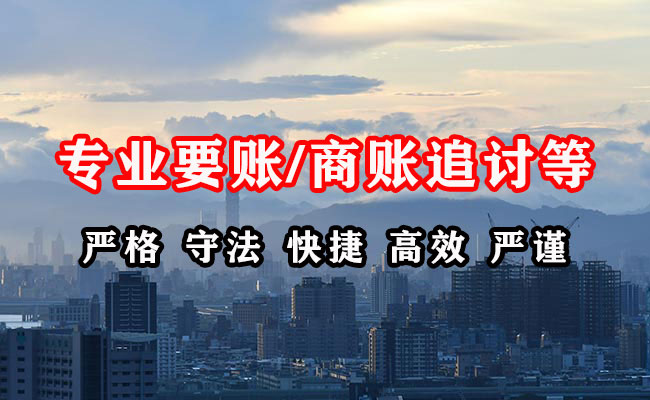 洛扎清账公司